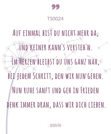 ts0024-auf-einmal-bist-du-nicht-mehr-da