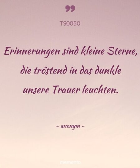 ts0050-erinnerungen-sind-kleine-sterne