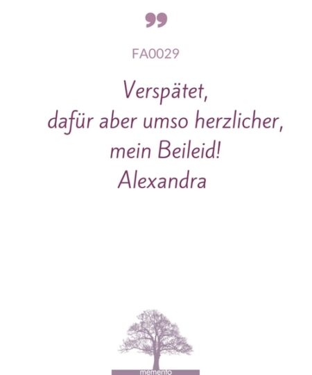 FA0029-Mustertext-verspaetet-dafuer-aber