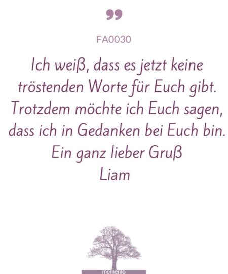 FA0030-Mustertext-keine-troestenden-worte