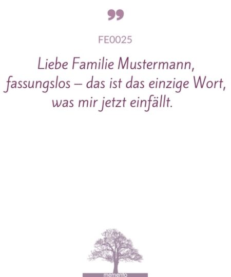 FE0025-Mustertext-fassungslos-ist-das-einzige-wort