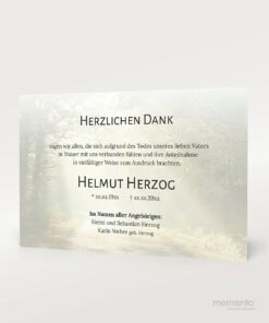 Produktbild Waldweg Danksagung Trauer Einzelkarte