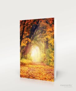 Produktbild Sterbebild Waldweg im Herbst